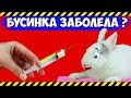 Первое ЛЕКАРСТВО для моего КРОЛИКА! ДЕГЕЛЬМИНТИЗАЦИЯ кроликов в домашних условиях. НАШ ПЕРВЫЙ ОПЫТ!