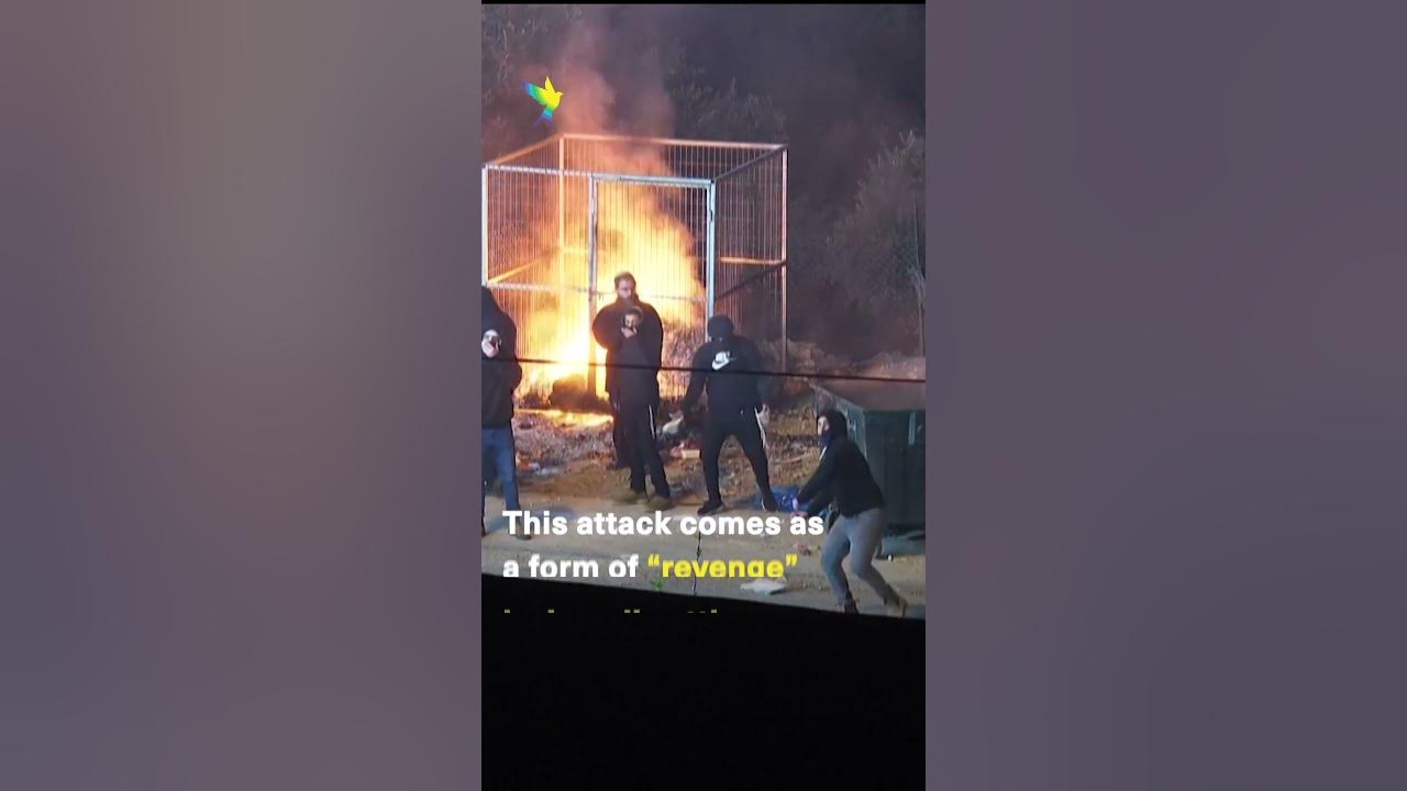 Palestinian killed, hundreds injured and cars, homes torched by Israeli settlers in West Bank