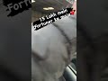 Fortuner ki bhn #dcarsinfo #dsbisht #viral #trending #subscribe #shorts #youtube #shortsvideo #cars