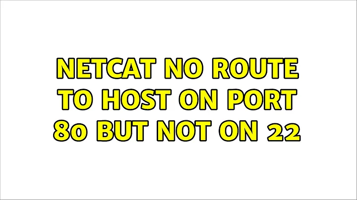 netcat no route to host on port 80 but not on 22