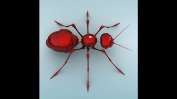 3D Model of Mechanical Ant Review