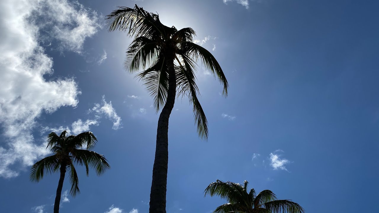 Sunscape splash Montego Bay,our first to Jamaica.