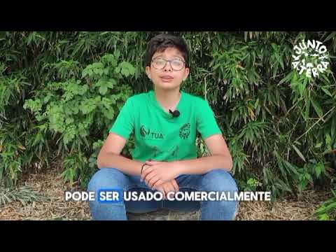 Junto à Terra
