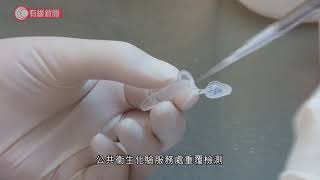 華大試劑瑞典現多宗假樣性　政府：私營化驗所陽性樣本須覆檢界定確診 - 20200826 - 香港新聞 - 有線新聞 CABLE News
