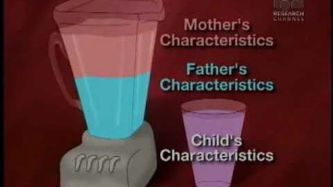 Deciphering the Language of Sex - DayDayNews