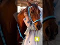 Ш ШЇЩ Ш Щ Ш ШЇ Щ Ш ЩЉЩ Щ Щ Ш Щ Ш Ш Шівќ пёЏвќ пёЏ Ш ШЇЩ Ш Щ Ш ШЇ Щ Ш ЩЉЩ Щ Щ Ш Щ Ш Ш Шівќ пёЏвќ пёЏ