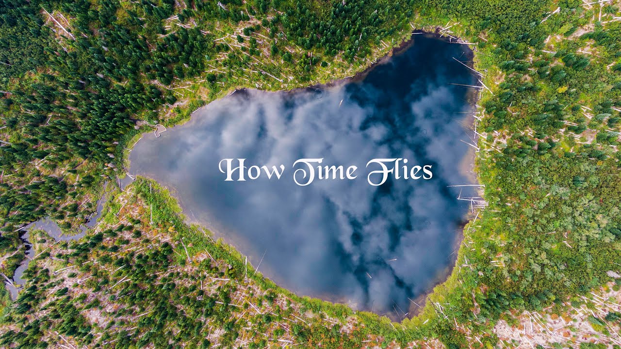 How Time Flies - a year in the Pacific Northwest