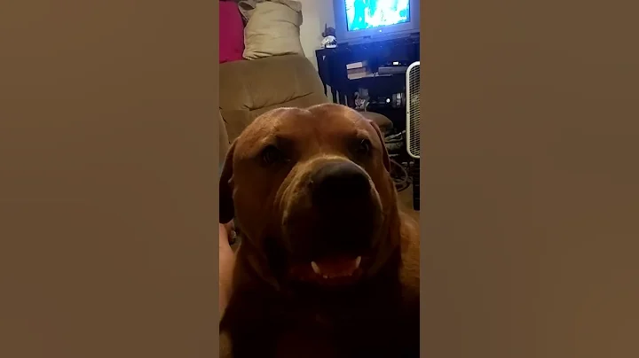 Jake the new singer in town lol