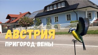 СТОИТ ЛИ УЕЗЖАТЬ ИЗ ВЕНЫ. КАК ЖИВУТ АВСТРИЙЦЫ В ДЕРЕВНЯХ.