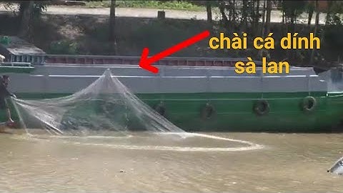 Anh chị chài cá gần sà lan. Trúng đậm bầy cá lăng, Cá chốt . Cá mè vinh