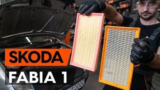 Sostituzione Filtro aria motore SKODA: manuale tecnico d'officina