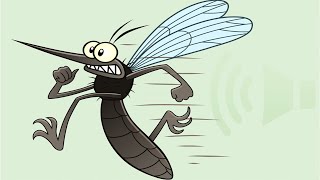 COMO ACABAR COM MOSQUITOS E PERNILONGOS A NOITE