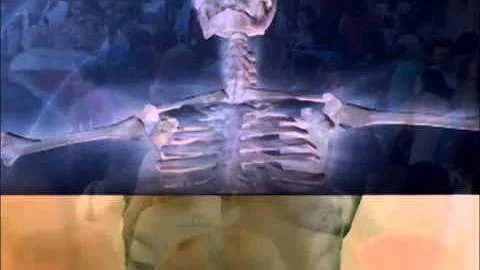 Qual a importância do cálcio para o funcionamento do corpo humano?