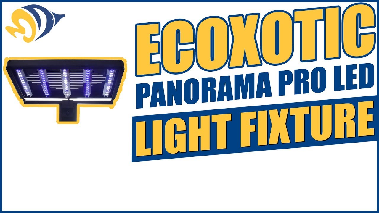 Ecoxotic Panorama Pro LED Light Fixture Product Demo - YouTube