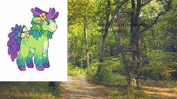 Prodigy math game - new hairstyle update and how to catch Mystile