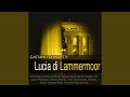 Lucia di Lammermoor, Act II, Scene 2: "Oh! qual funesto avenimento!" (Coro)