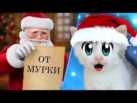 ПИСЬМО ДЕДУ МОРОЗУ от ПИТОМЦЕВ! Какие ПОДАРКИ на НОВЫЙ ГОД захотели смешные ТРИ КОТА , Баффи и Пупся
