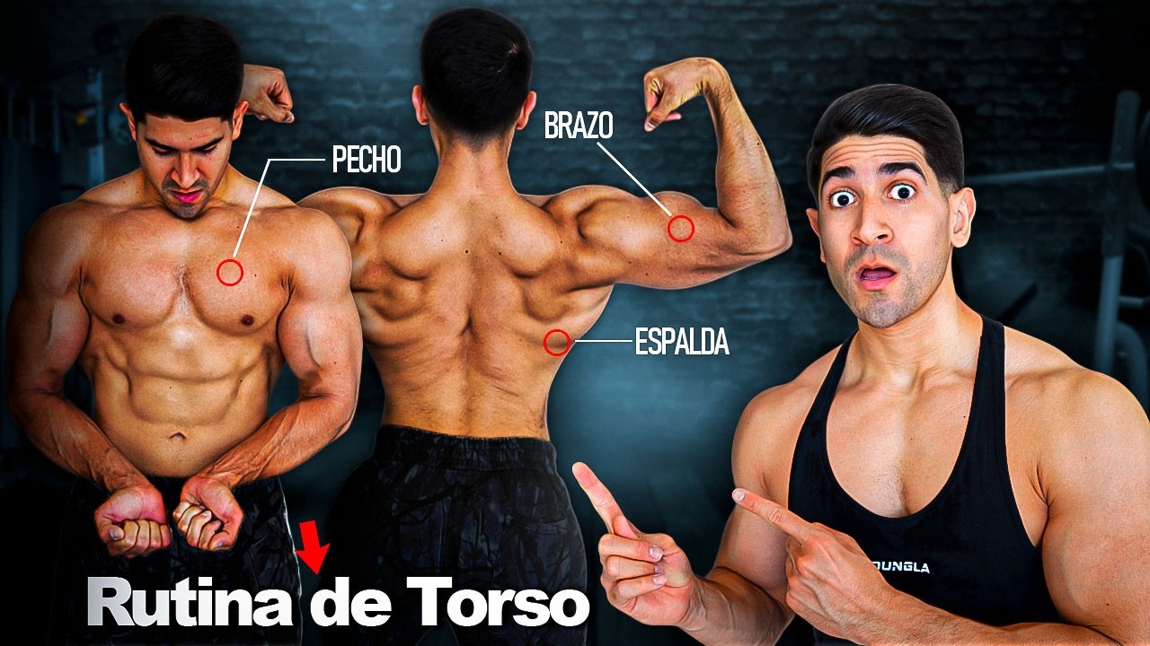 El Mejor Split de Entrenamiento... Rutina de Torso por Primera Vez