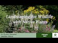 Landscaping for Wildlife with Native Plants with Debbie Roos