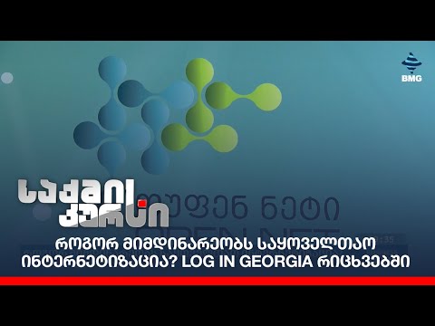 როგორ მიმდინარეობს საყოველთაო ინტერნეტიზაცია? Log in Georgia რიცხვებში
