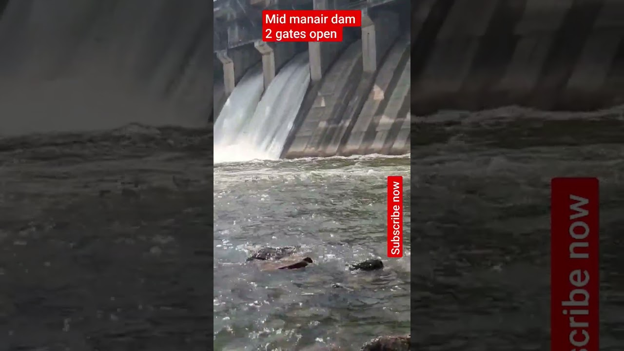 //damfishing//gatesopen//mid manair dam//mid dam gates//tilapiafishing//open gates