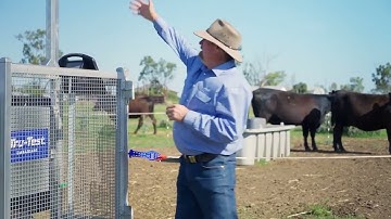 Introducing the Tru-Test Flexi Mobile 4000C