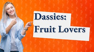 Do dassies eat fruit?