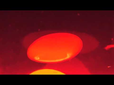 The Avonden - Zacht, rood licht