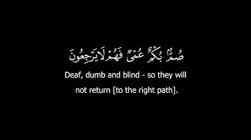 كروما قرآن كريم - الشيخ: ياسر الدوسري- سورة البقرة ( الآيات 17 - 19 ) #كرومات_قرآن