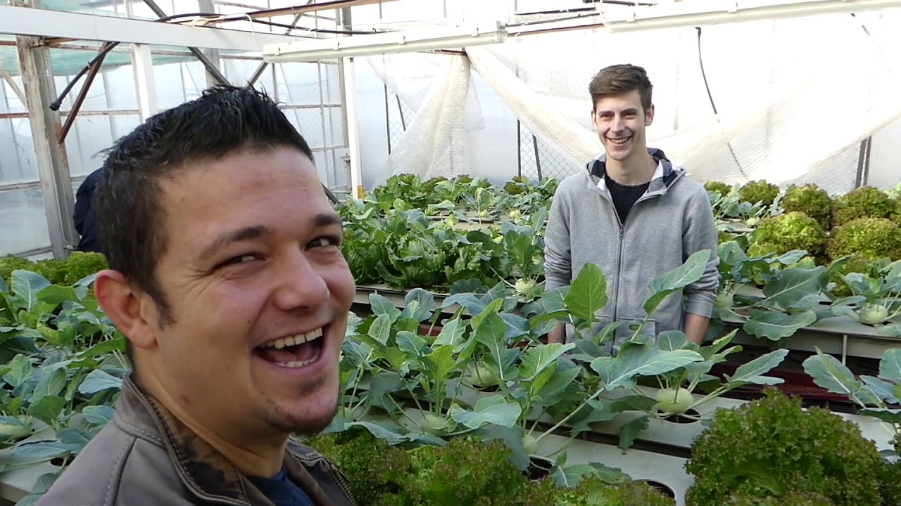 Ilyenek a kecskeméti kertészetisek - NJE Kerti Afus Vlog #36