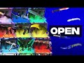 Nothing to a KNIFE (ClashGG)