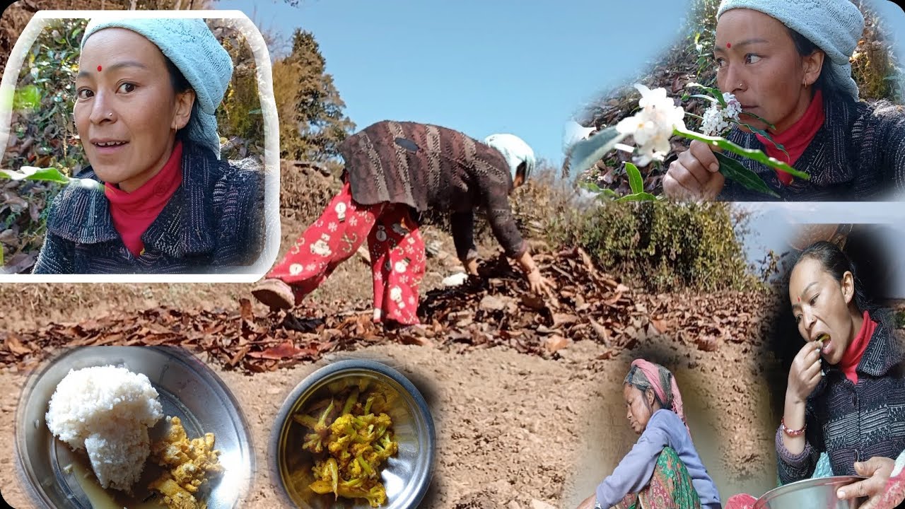 पहिलो चोटी आलुमा छाप लगाउँदै अनि  बनै मगमगाउने बास्ना के को होला त😱# village life # myagdivlog #vlog