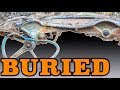 UNDERGROUND 1955 Chevy and A TRUE Barn Find 409 Engine - Hot Rod Hoarders Ep. 6