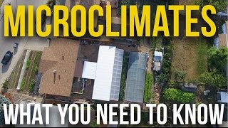 IN PRACTICE - Microclimates - What you need to know Net Worth