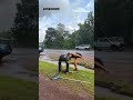Local helps remove croc outside NT bottle shop during school drop off