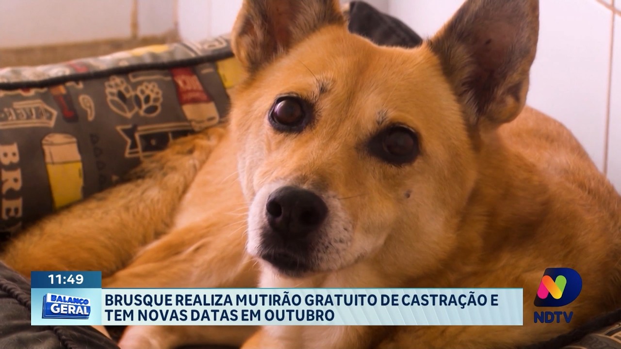 Giro de notícias: saúde, castração e ações movimentam a região