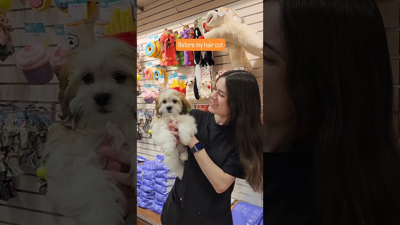 A little grooming goes a long way! ✂️✨