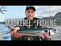 Mackerel Fishing in Norway 2021 4k