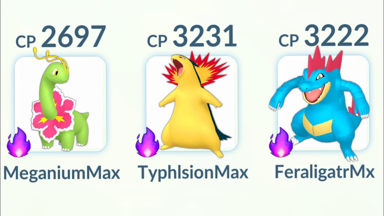 LvL 50 SHADOW JOHTO STARTERS TEAM in POKEMON GO. YouTube