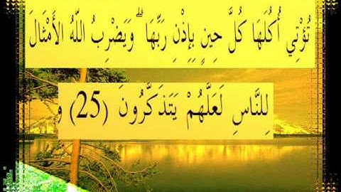 القرآن الكريم سورة إبراهيم الأية 25 قراءة السديس