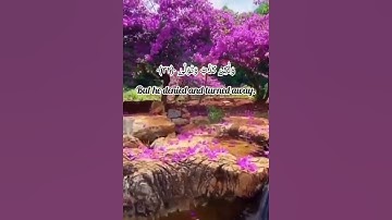 سورة القيامة من الآية (٢٨) إلي الآية (٣٥) بصوت القاريء إسلام صبحي
