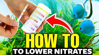 Here's How To Lower Nitrates In An Aquarium FAST‍!