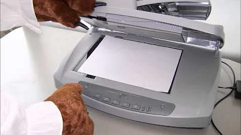 New Student Orientation