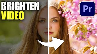 How To Brighten Dark Video Footage in Premiere Pro