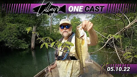 Lilley's One Cast, May 10