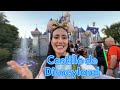 Entré al Castillo de Disneyland 🏰