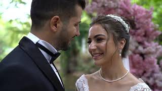 Wedding Story