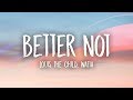 Louis The Child - Better Not (Lyrics) ft. Wafia