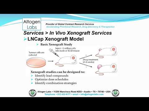 Altogen Labs LNCap Xenograft Service Prostate Cancer