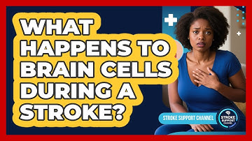 What Happens To Brain Cells During A Stroke?